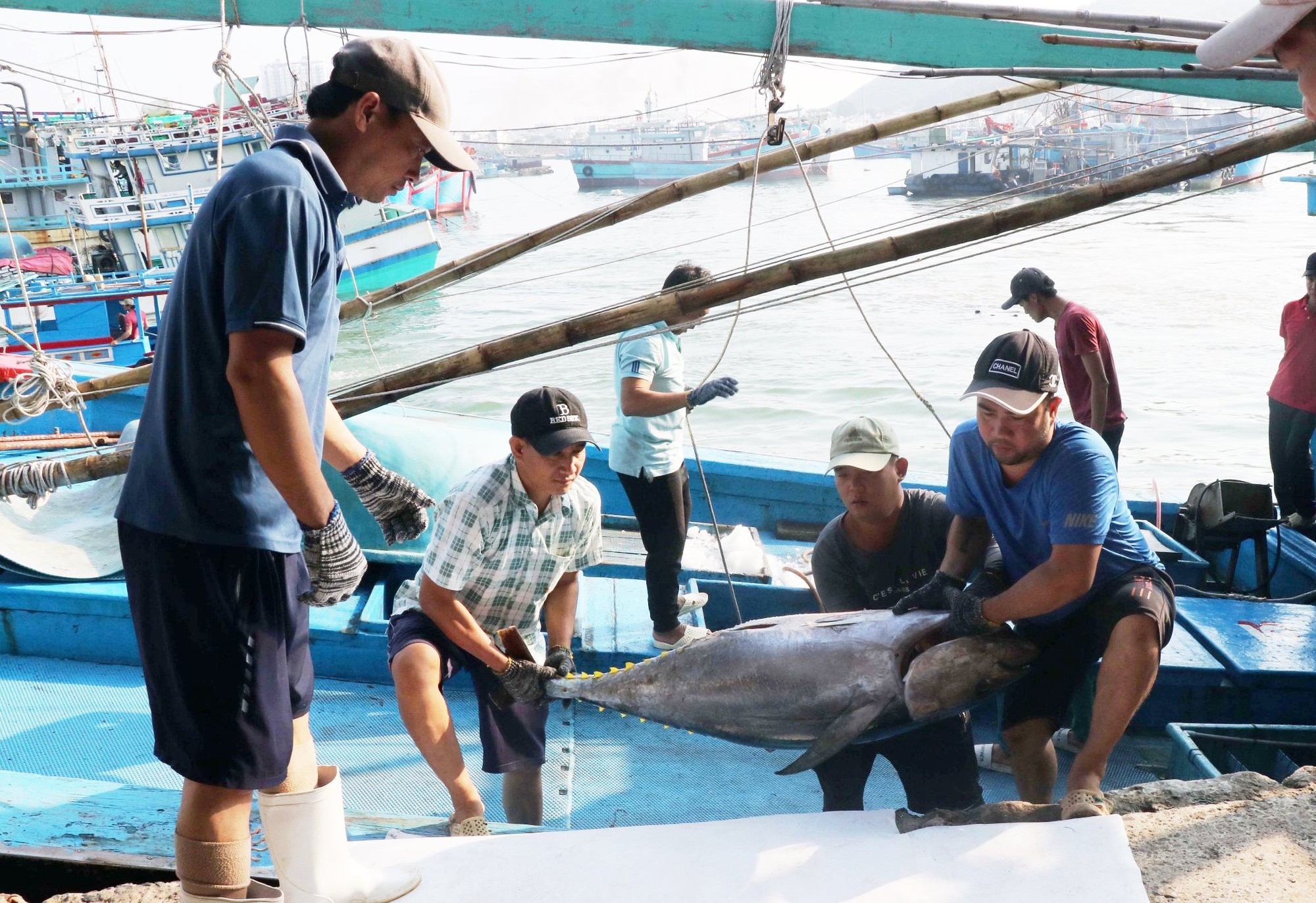 Đề nghị Mỹ xem xét khách quan việc dừng nhập khẩu một số loài hải sản - Ảnh 1