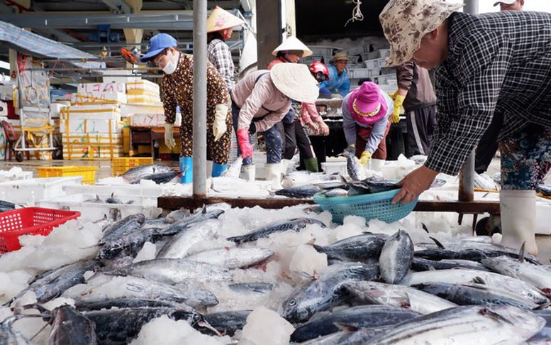 Việt Nam sẵn sàng làm việc với phía Hoa Kỳ tháo gỡ vướng mắc về thương mại thủy sản - Ảnh 2
