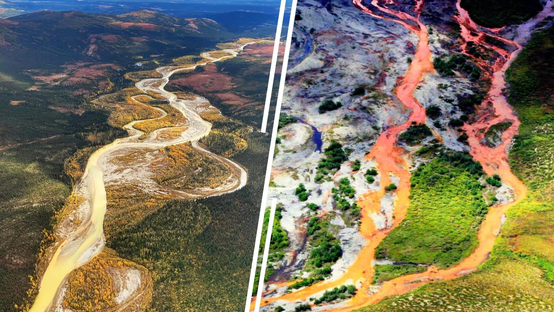 Các con sông ở Bắc Cực chuyển sang màu cam bí ẩn: Khoa học tìm ra lời giải - Ảnh 4