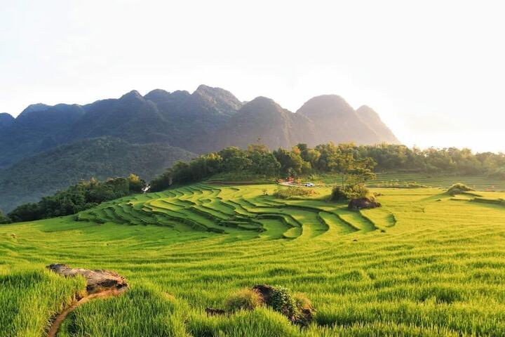 Soi giá loạt tour ngắm mùa lúa chín Tây Bắc đang hot nhất hiện nay - Ảnh 10