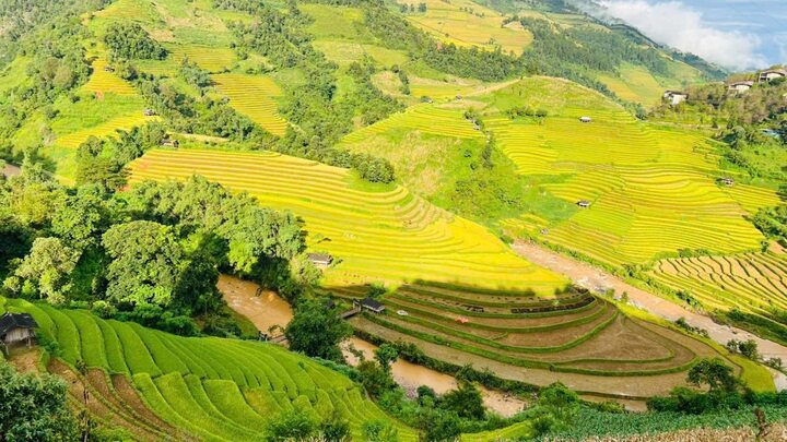 Soi giá loạt tour ngắm mùa lúa chín Tây Bắc đang hot nhất hiện nay - Ảnh 14