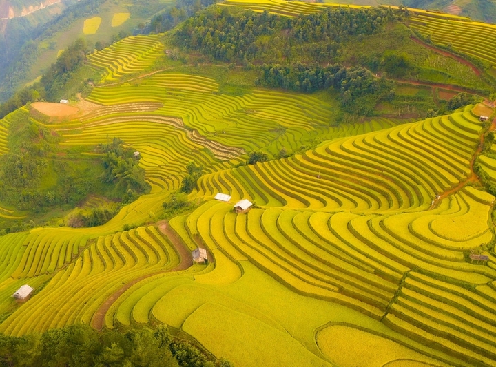 Soi giá loạt tour ngắm mùa lúa chín Tây Bắc đang hot nhất hiện nay - Ảnh 15