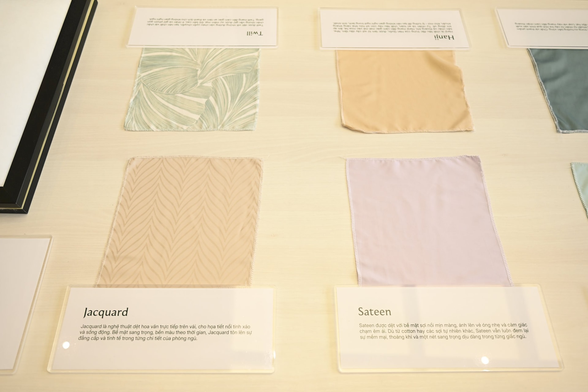 Bắt tay 'gã khổng lồ' sợi vải của Áo, Everpia (EVE) chi lớn cho Flagship Space, chính thức bước vào cuộc đua hàng hiệu 9.000 tỷ của Việt Nam - Ảnh 6