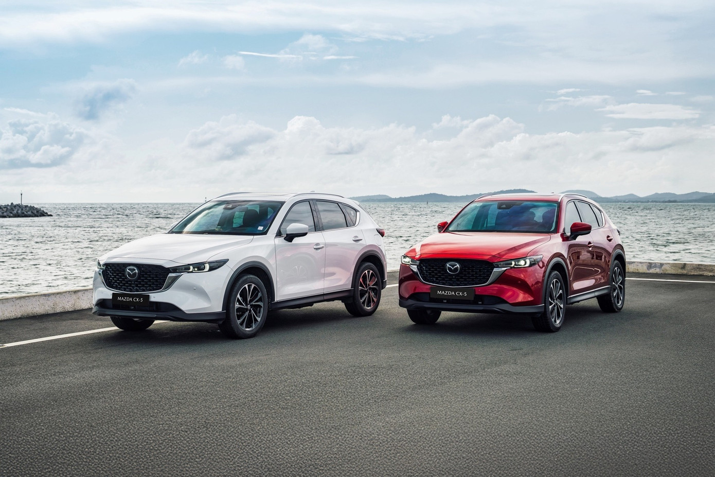 Những mẫu xe gầm cao ăn khách nhất tại Việt Nam hiện nay - Ảnh 2