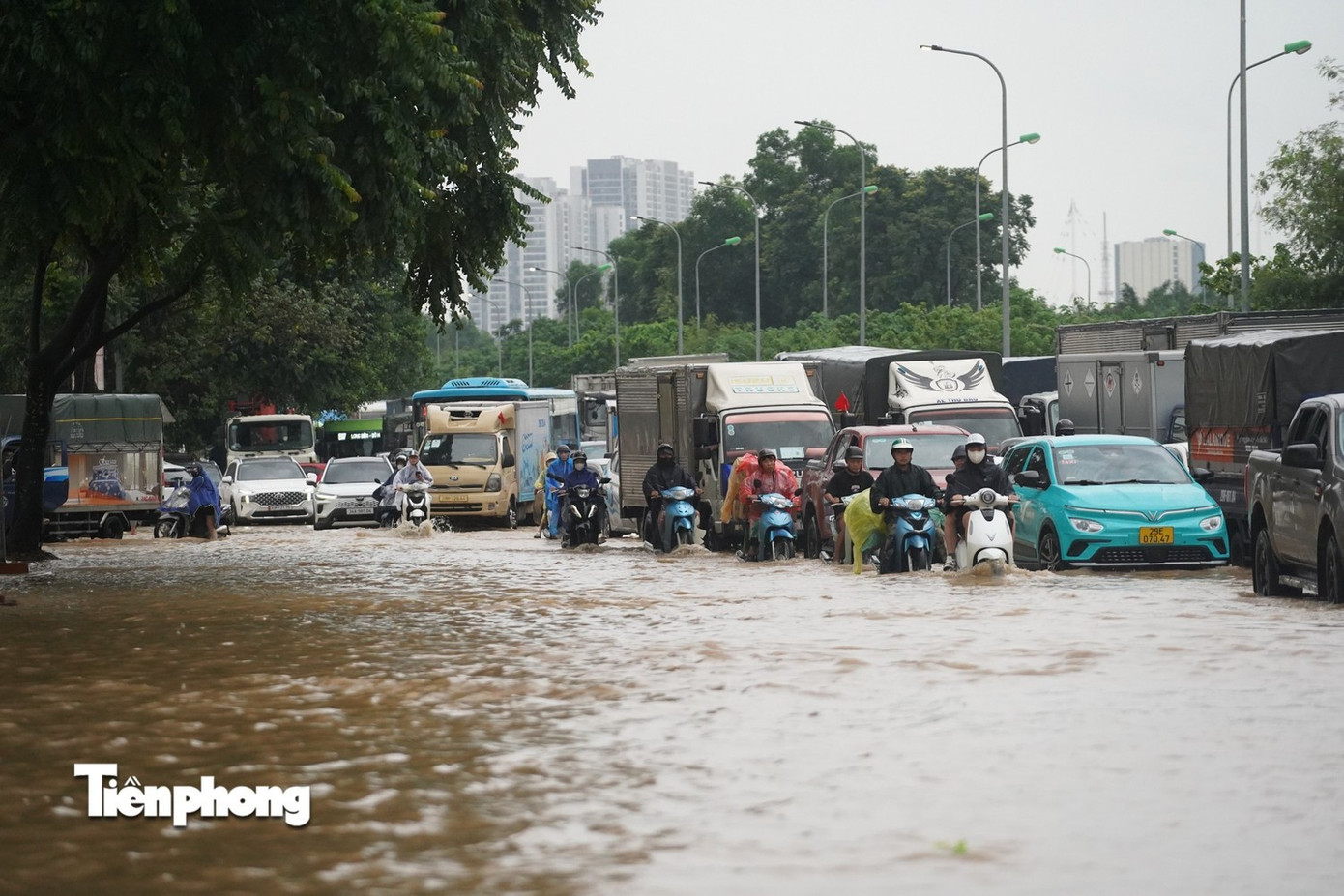 Cấp bách giải bài toán ‘cứ mưa là thành phố ngập sâu, tê liệt’ - Ảnh 2