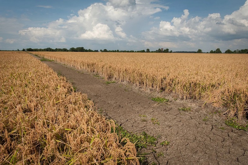 Ông Trump để ngỏ khả năng cứng rắn hơn với hiệp định thương mại nếu chính sách thuế quan thất bại - Ảnh 2