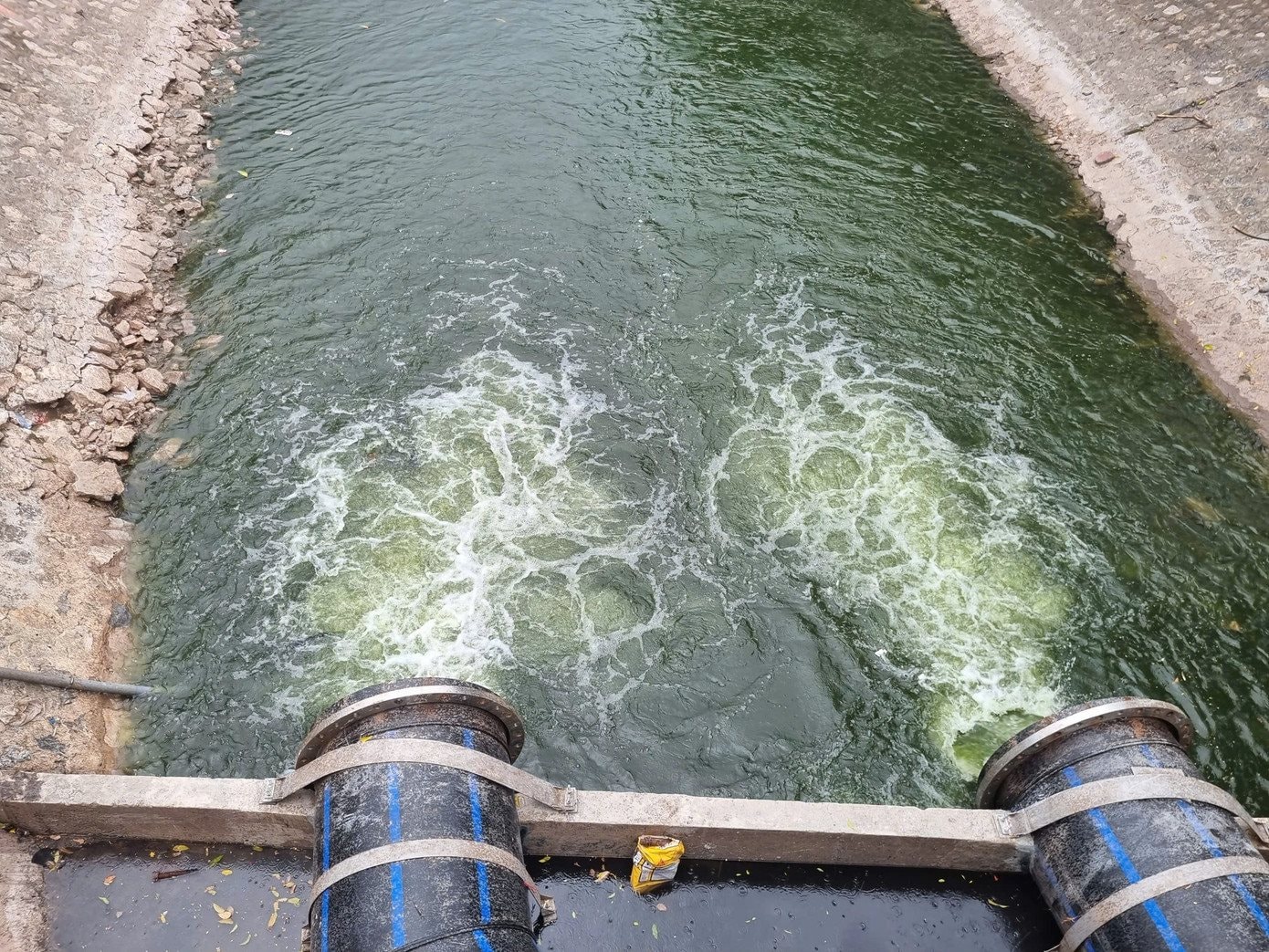 DN của tỷ phú Phạm Nhật Vượng tiên phong giải quyết vấn nạn khiến Việt Nam thiệt hại hơn 13 tỷ USD/ năm - Ảnh 4