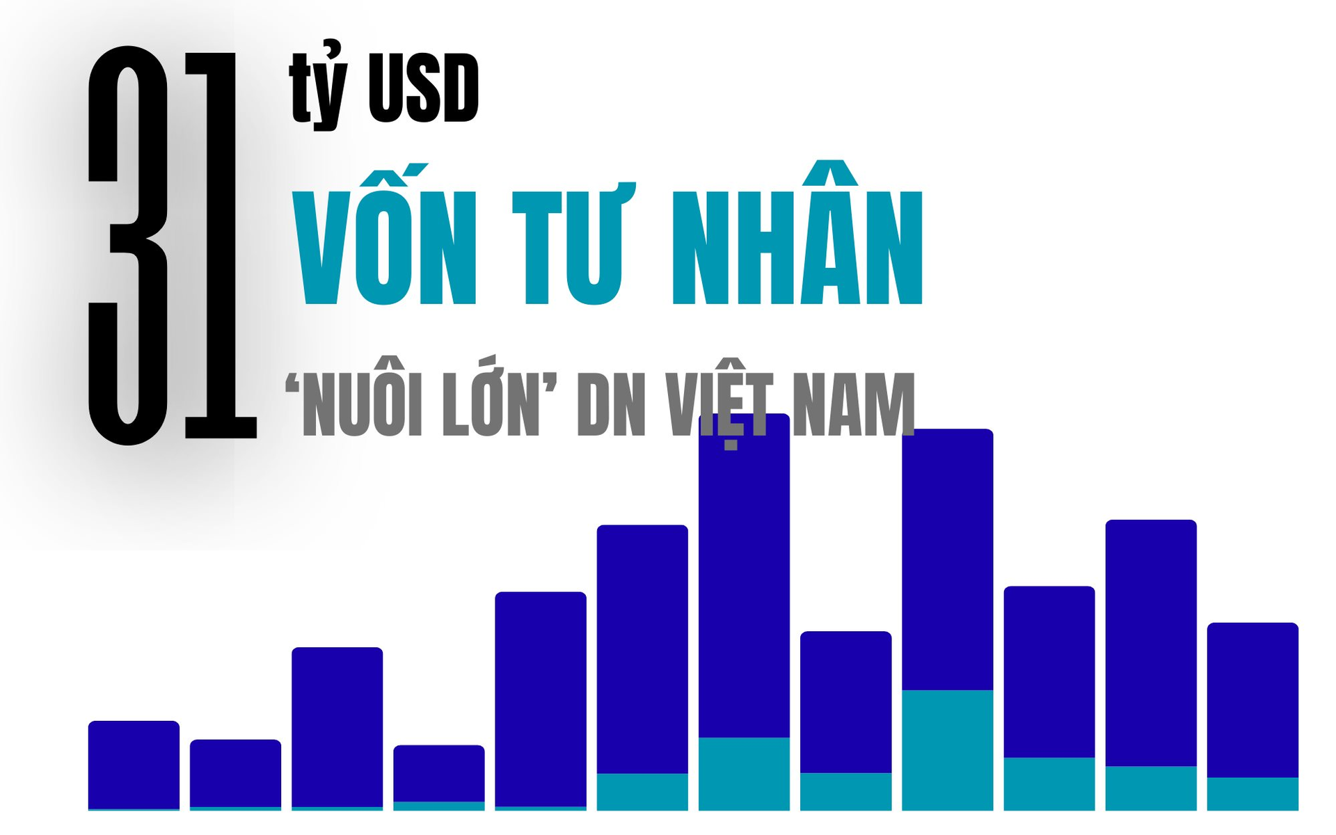 31 tỷ USD 'nuôi lớn' Masan, Tiki, Equest, Golden Gate... trong 1 thập kỷ từ dòng vốn tư nhân - Ảnh 1