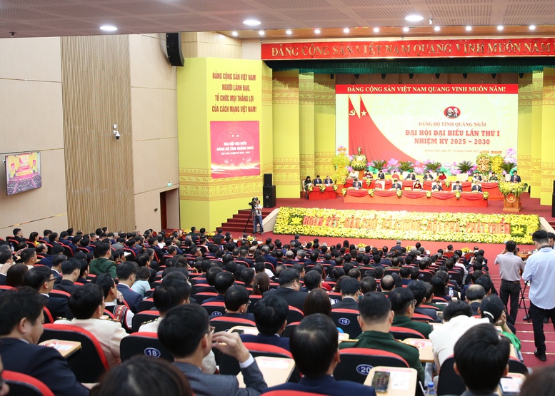 Đưa Quảng Ngãi trở thành tỉnh phát triển khá, một cực tăng trưởng quan trọng của khu vực miền Trung - Tây Nguyên - Ảnh 3