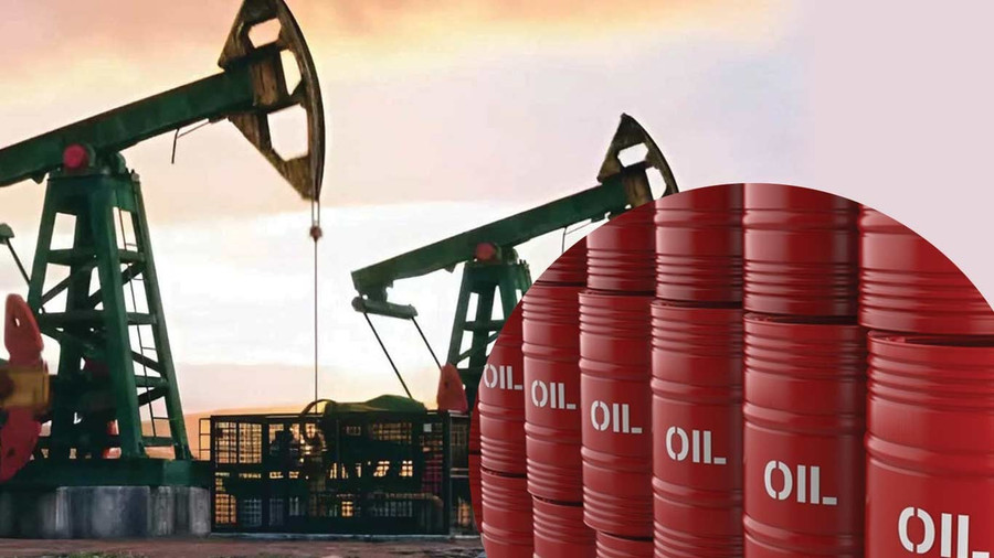 Ấn Độ đang vội vã bán tháo các sản phẩm từ dầu mỏ Nga - Ảnh 1