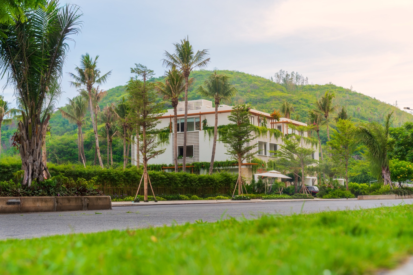 La Tiên Show: The Cội – Khai mở thêm sức hút đầu tư tại đô thị chuẩn quốc tế - Ảnh 1