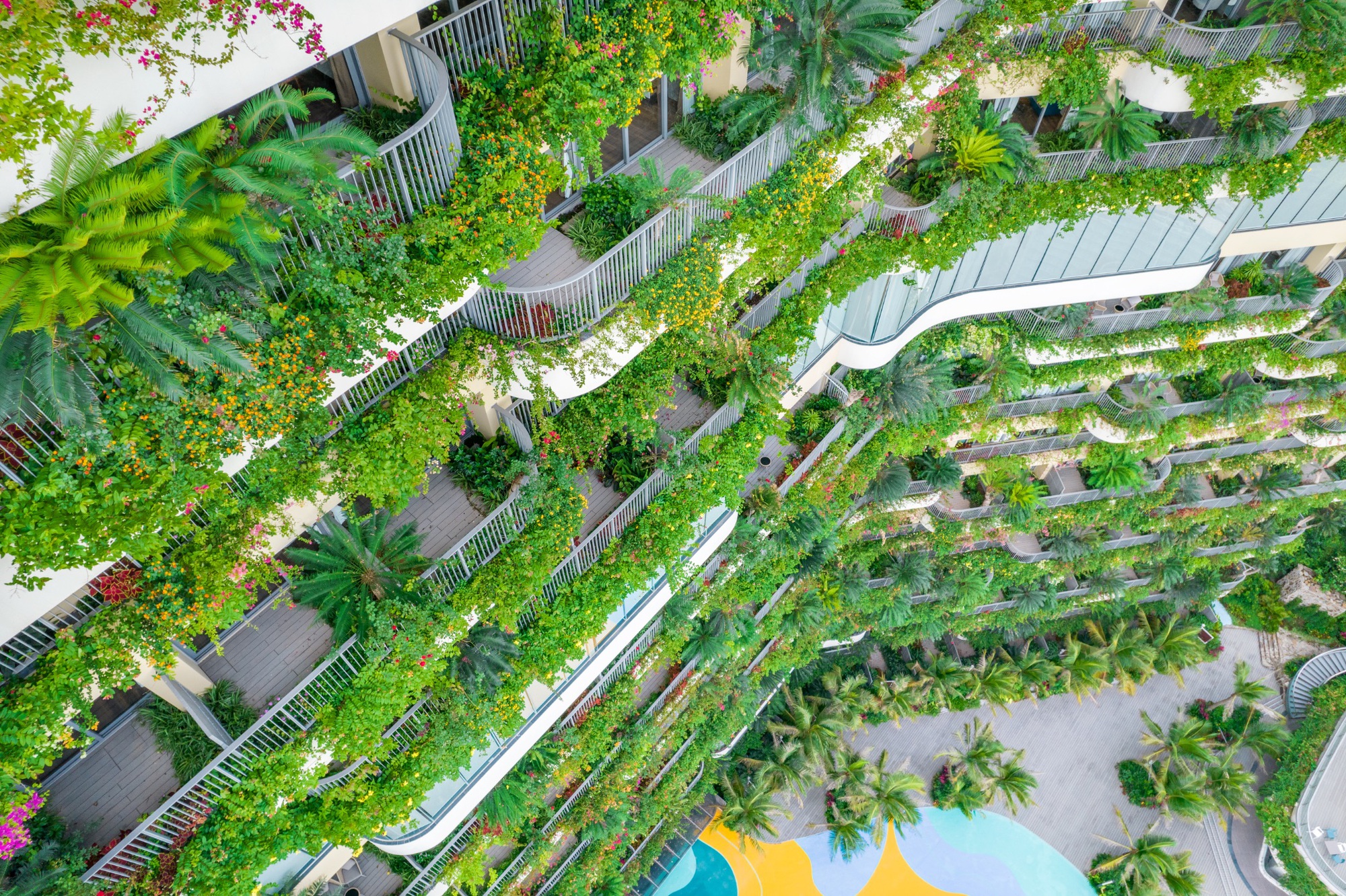 Flamingo Cát Bà Resorts xác lập vị thế top đầu qua hiệu suất lấp đầy ấn tượng - Ảnh 1