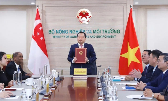 Việt Nam và Singapore vừa ký kết chiến lược, liên quan thị trường ước đạt 250 tỷ USD: "Bùng nổ" năm 2050 - Ảnh 1