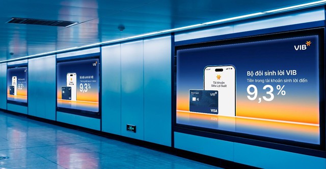 Bộ đôi Sinh Lời VIB – Giải pháp tài chính tối ưu dòng tiền đến 9,3% - Ảnh 3