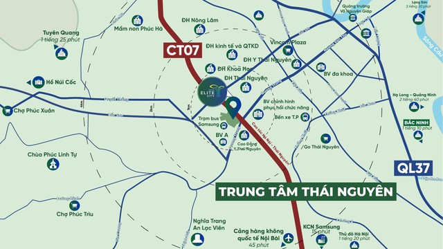 Khách hàng mua 3 căn Tecco Elite City thay vì 1 căn chung cư Hà Nội - Ảnh 3