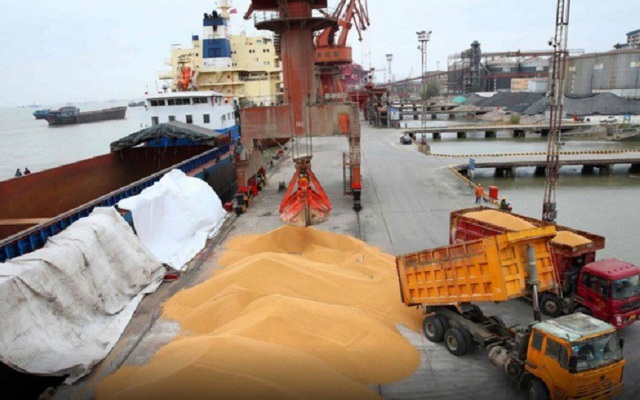 Trung Quốc, Campuchia đua nhau săn 'kho vàng' mới nổi của Việt Nam: bỏ túi hơn 700 triệu USD, nước ta đứng thứ 8 thế giới về sản lượng - Ảnh 1