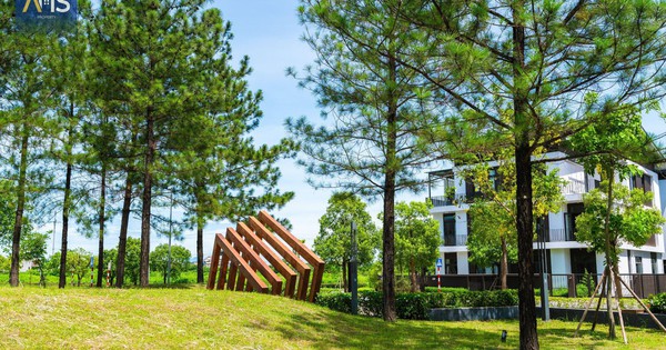 Nhà liền kề trong khu đô thị xanh, hàng hiếm cho chủ nhân tinh hoa