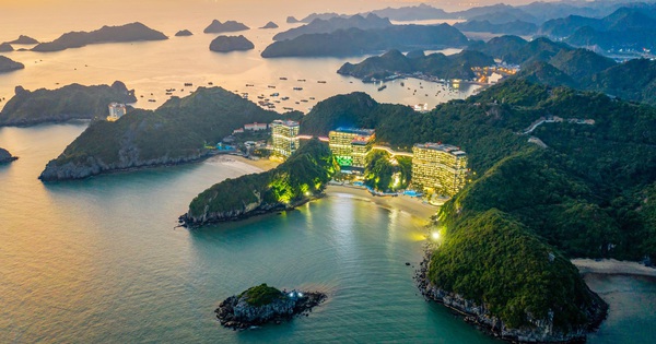 Flamingo Cát Bà Resorts xác lập vị thế top đầu qua hiệu suất lấp đầy ấn tượng