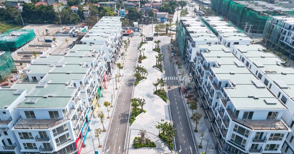 Sức hút bất động sản dồn về Palm Manor sau minh bạch pháp lý