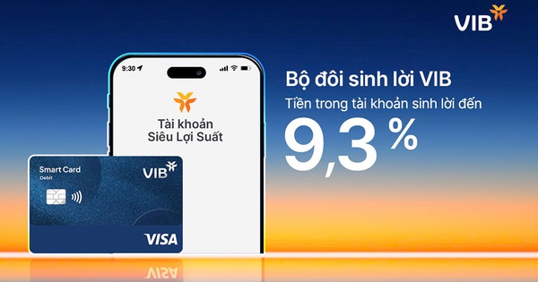 Bộ đôi Sinh Lời VIB – Giải pháp tài chính tối ưu dòng tiền đến 9,3%