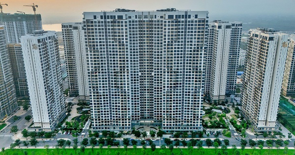 Khu Đông TP.HCM giữ nhịp thanh khoản, căn hộ compound cao cấp dẫn dắt thị trường