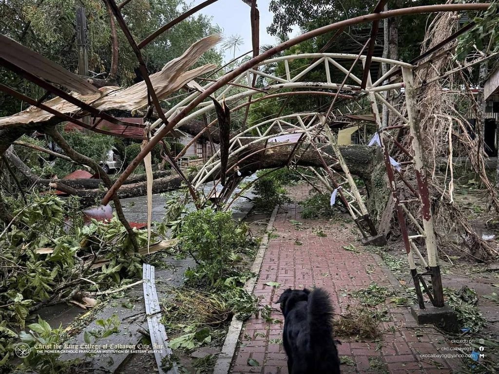 Cảnh tượng đổ nát ở Philippines sau bão Bualoi: Ít nhất 4 người chết, hàng chục nghìn dân phải sơ tán - Ảnh 2
