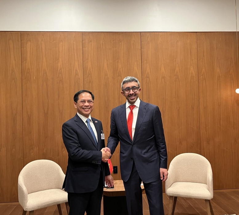 Việt Nam coi trọng hợp tác với UAE - trung tâm kinh tế, tài chính hàng đầu thế giới - Ảnh 1