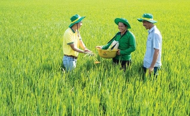 R&D và chuyển đổi số sẽ tạo bước nhảy vọt cho Nông nghiệp Việt Nam - Ảnh 2