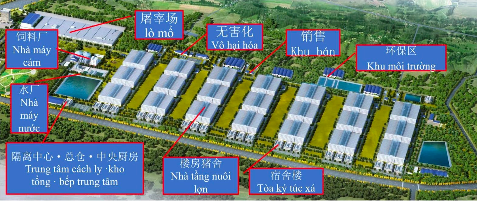 Sắp khởi động dự án 'chung cư 5 tầng nuôi heo' 12.000 tỷ: có AI 'nghe' tiếng ho chẩn bệnh, robot đi tuần 24/7 - Ảnh 3