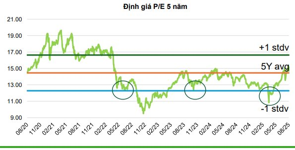 “Vượt nắng, thắng mưa”, chứng khoán Việt Nam lập đỉnh mới, VN-Index tiến sát mốc 1.700 điểm - Ảnh 3
