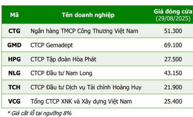 CTCK chỉ tên 6 doanh nghiệp đầu ngành có định giá hợp lý và triển vọng lợi nhuận tăng trưởng trong quý 3/2025 - Ảnh 1