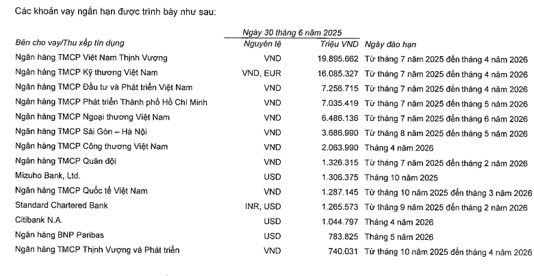 Khoản nợ 800.000 tỷ đồng bị thông tin thất thiệt của Vingroup có gì đáng chú ý? - Ảnh 1