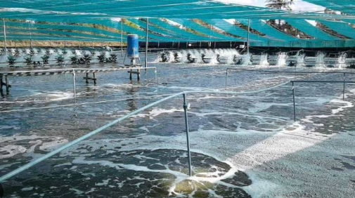 Trung Quốc liên tục săn lùng 'kho báu' dưới nước của Việt Nam: Nước ta là trùm đứng thứ 2 thế giới, sở hữu công nghệ chế biến hiện đại đứng top toàn cầu - Ảnh 1