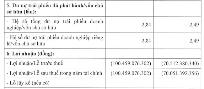 Siêu dự án Aqua City vừa “tái sinh” được 3 tháng, chủ đầu tư bất ngờ báo lỗ, nợ phải trả cao gấp 6 lần vốn chủ sở hữu - Ảnh 1