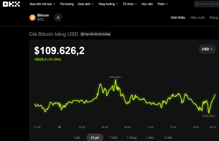 Thị trường tiền số hôm nay, 28-9: Hàng tỉ USD đã bị “thổi bay” khi Bitcoin lao dốc - Ảnh 1