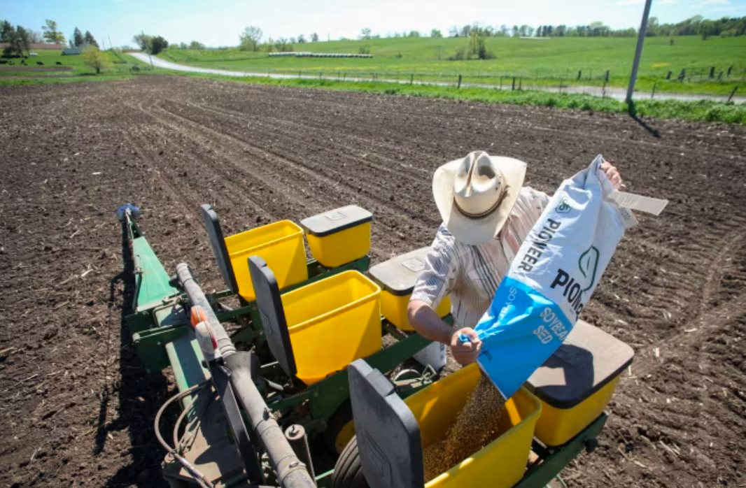 Đặt 6,5 triệu tấn hàng rồi 'quay xe', quốc gia BRICS ra đòn trực diện, khiến cả một ngành của Mỹ 'như ngồi trên đống lửa' vì không biết bán cho ai - Ảnh 1