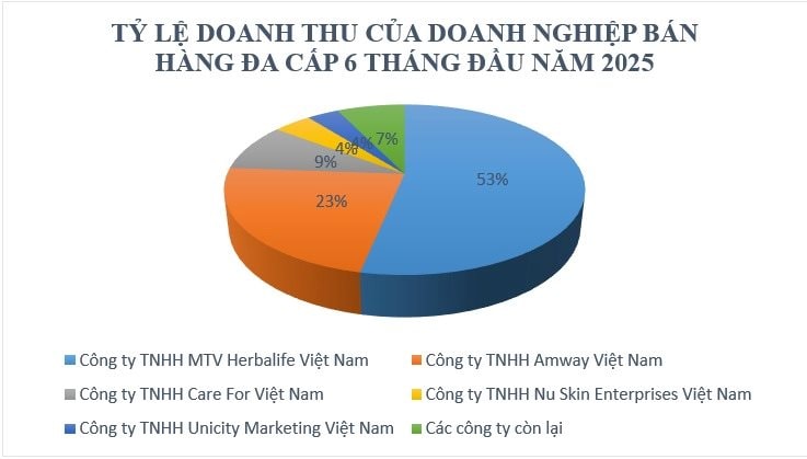 Công ty đa cấp lớn nhất Việt Nam thu 4.000 tỷ đồng sau nửa năm, chiếm 53% toàn ngành - Ảnh 1