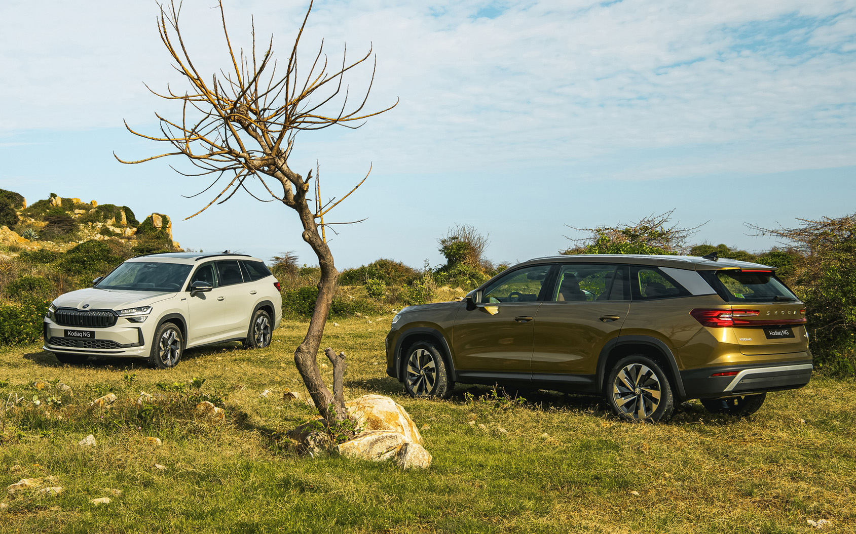 Skoda Kodiaq có giá mới tại Việt Nam: Cao nhất gần 1,5 tỷ đồng, bản 'base' vẫn giảm 81 triệu lăn bánh cạnh tranh Santa Fe, Everest - Ảnh 3