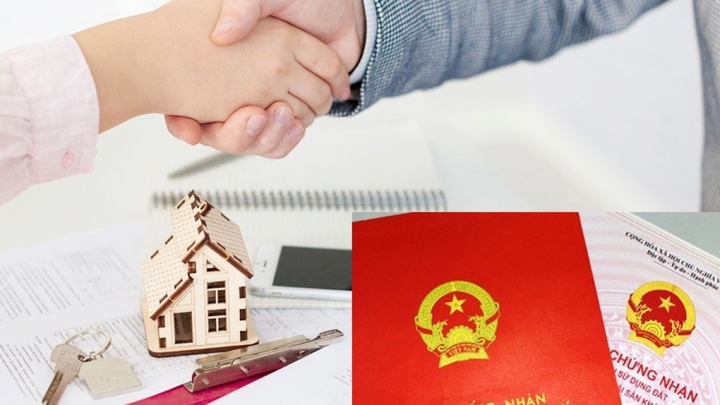 Lấy sổ đỏ của người khác đi thế chấp có bị phạt không? - Ảnh 1