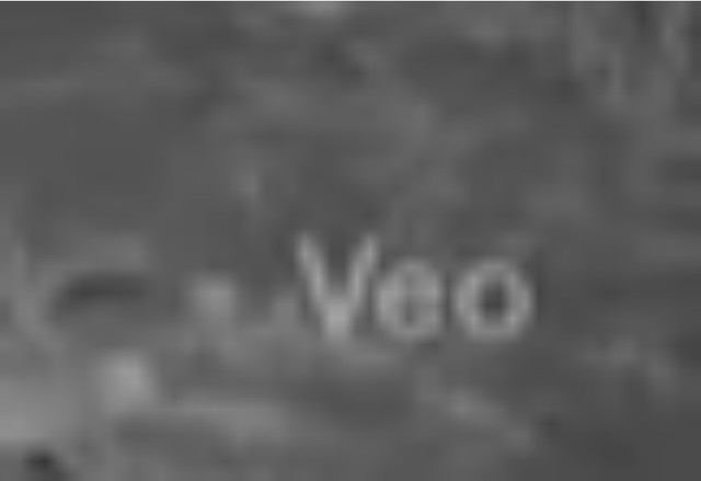 Video sư tử run sợ trước robot AI hút hơn 30.000 lượt quan tâm: Chuyên gia vào cuộc hé lộ sự thật - Ảnh 2