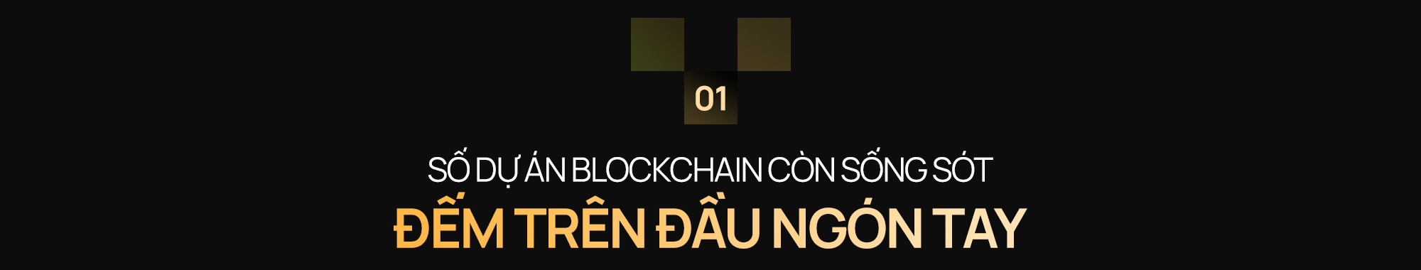 Ông Nguyễn Ngọc Hưng - Chuyên gia VBA: Muốn blockchain thành mũi nhọn của ngành công nghệ Việt Nam, đội ngũ builder Việt cần thoát khỏi “DNA gia công” - Ảnh 2