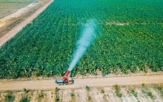 Thaco Agri của tỷ phú Trần Bá Dương có tổng tài sản tăng vọt lên hơn 67.000 tỷ đồng, vượt Becamex, gấp 3 lần HAGL - Ảnh 1