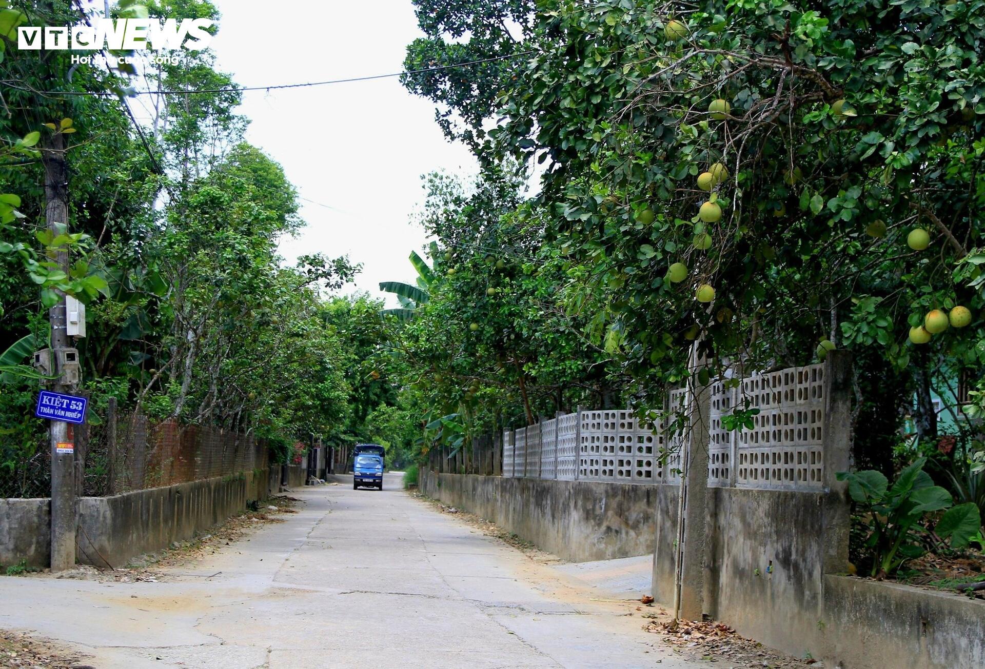 Đặc sản ‘tiến vua’ được mùa, được giá, người dân đếm cây thu tiền triệu mỗi ngày - Ảnh 1