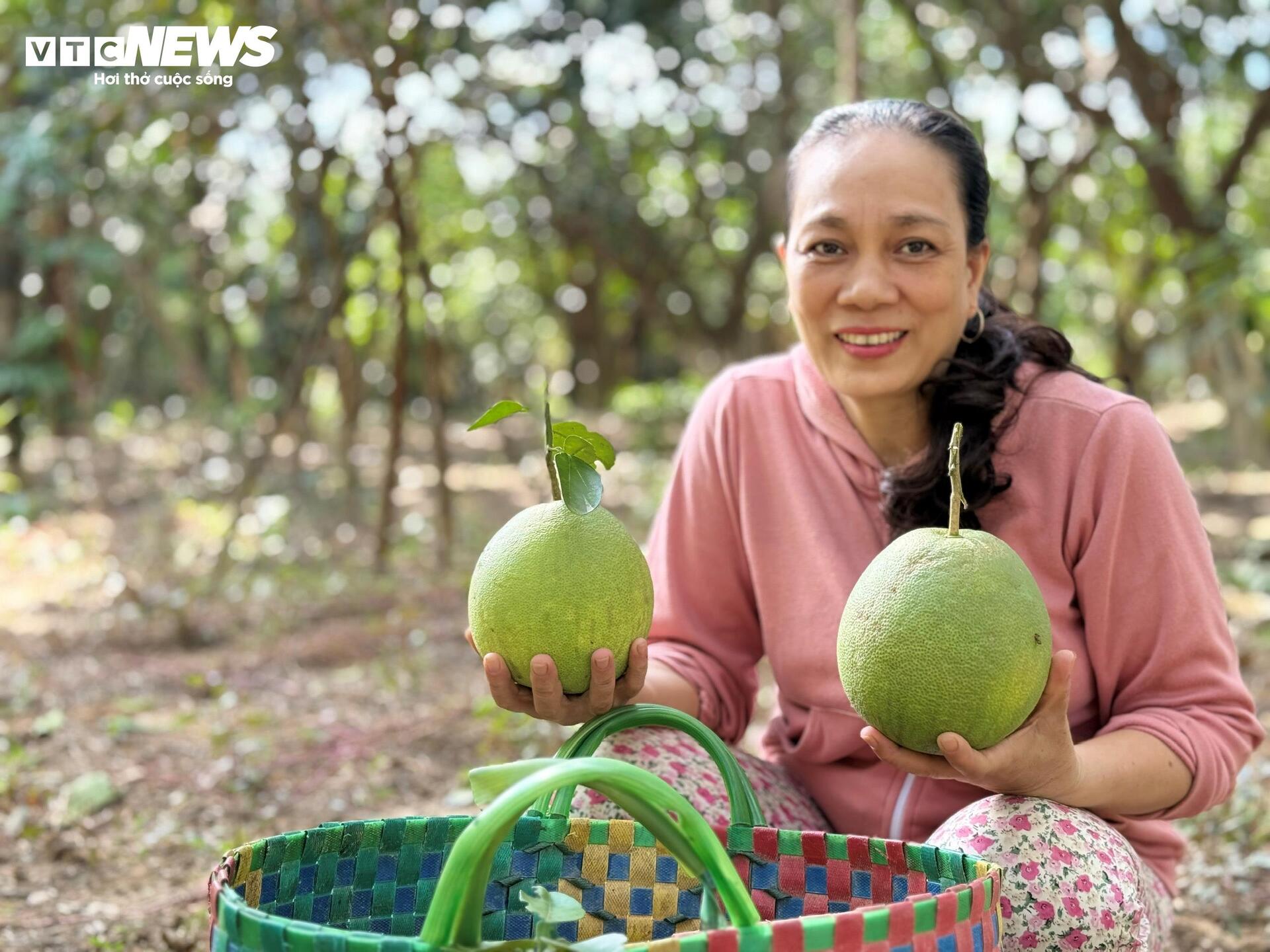 Đặc sản ‘tiến vua’ được mùa, được giá, người dân đếm cây thu tiền triệu mỗi ngày - Ảnh 7