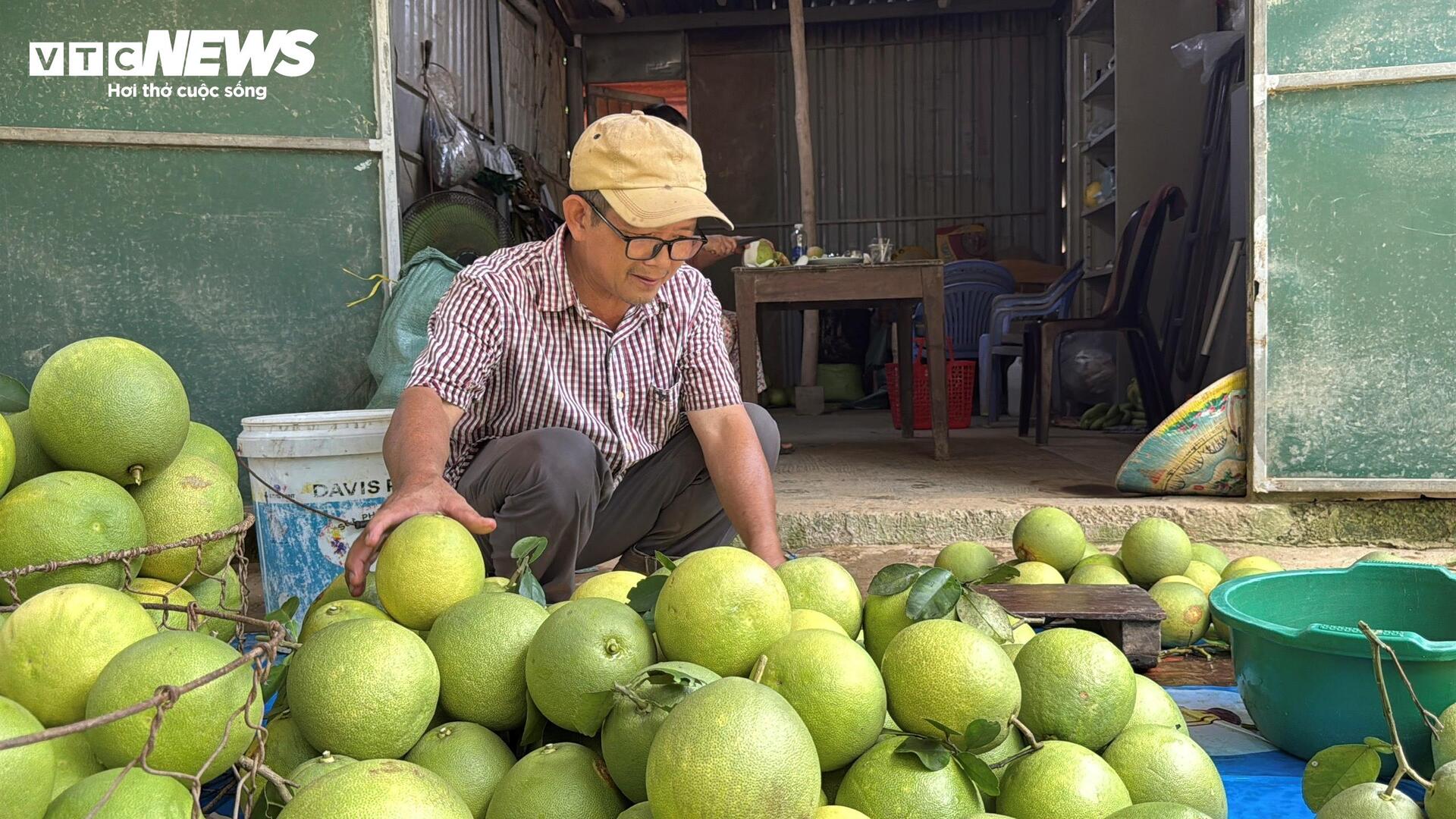 Đặc sản ‘tiến vua’ được mùa, được giá, người dân đếm cây thu tiền triệu mỗi ngày - Ảnh 5