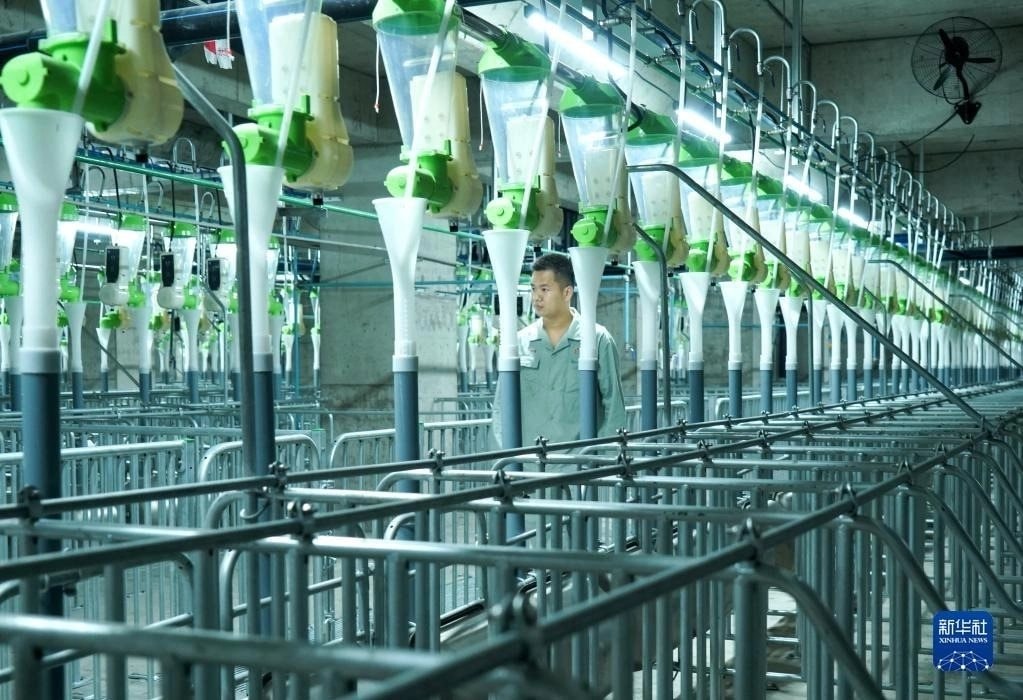 Lần đầu tiên VN hợp tác với TQ về “cách làm hay” trong 1 lĩnh vực dự kiến thu về 10.000 tỷ đồng mỗi năm - Ảnh 5