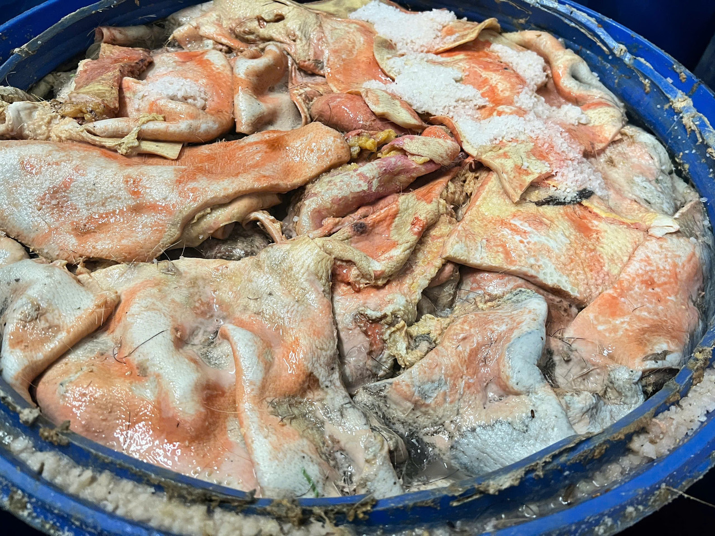 Rùng mình với cơ sở làm lạp xưởng với nguyên liệu bị phân huỷ, hôi thối - Ảnh 2