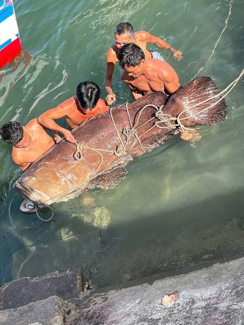 Ngư dân tình cờ bắt được "thủy quái" nặng 150kg: Chuyên gia nói hiếm gặp đến mức cả đời chỉ thấy một lần - Ảnh 1