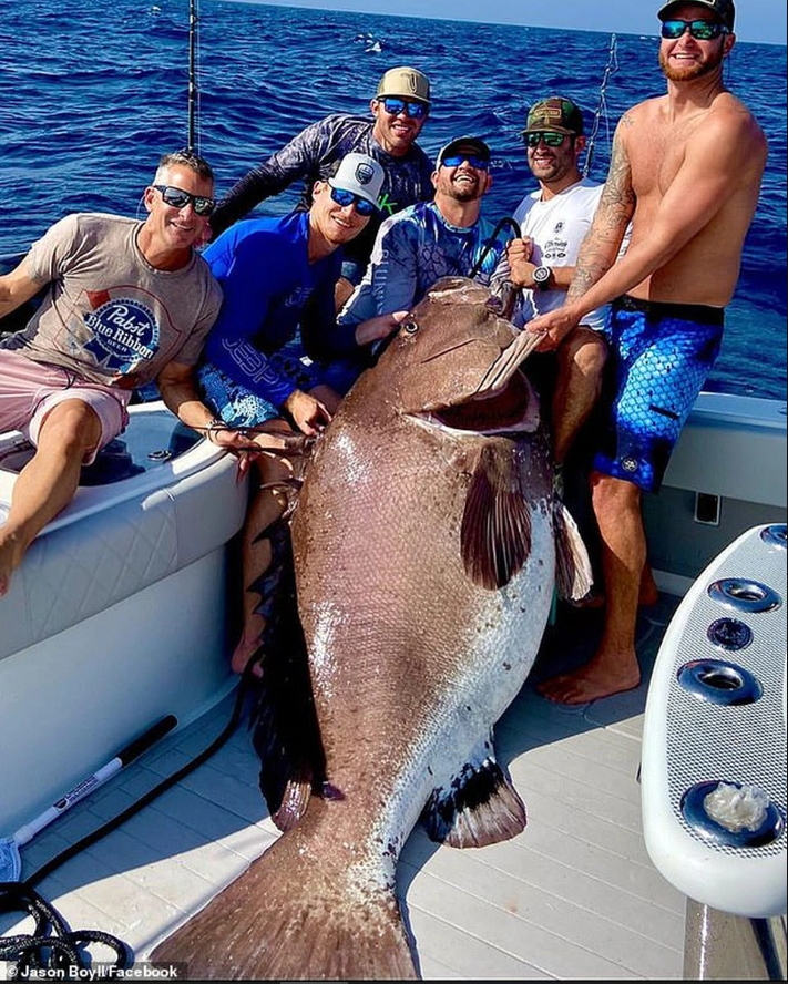 Ngư dân tình cờ bắt được "thủy quái" nặng 150kg: Chuyên gia nói hiếm gặp đến mức cả đời chỉ thấy một lần - Ảnh 6