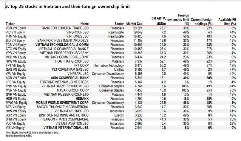 HSBC: Nâng hạng thị trường - Hòa Phát, Vingroup, Masan hưởng lợi lớn nhờ room ngoại dồi dào, Techcombank, VIB chờ "mở cửa" - Ảnh 2